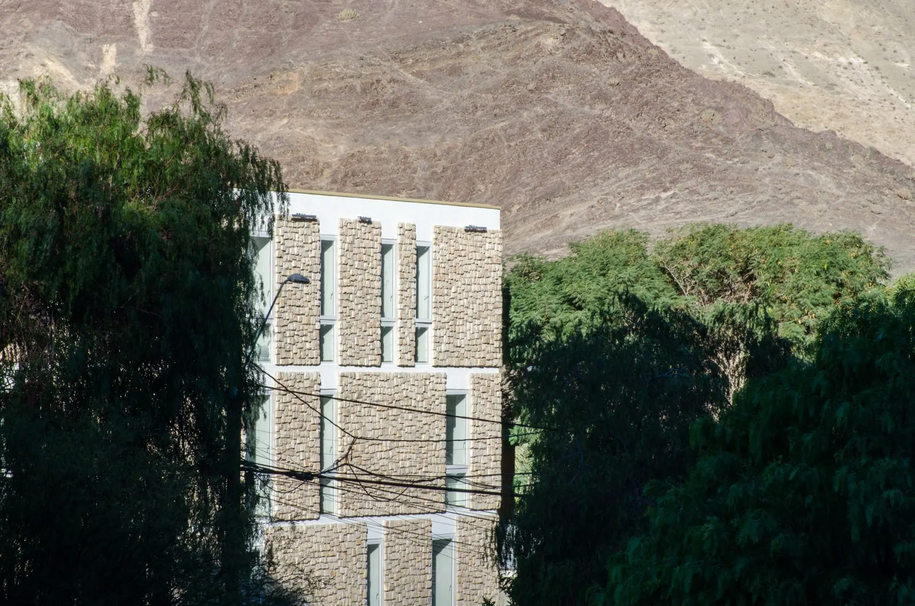 Municipalidad Alto del Carmen — detalle 1